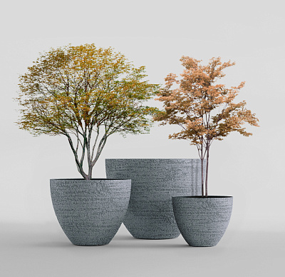 Кашпо CONCRETIKA UPON EROSIA GREY D75H65 заказать и купить Кашпо CONCRETIKA UPON EROSIA GREY D75H65 заказать и купить по цене 36 980 руб ниже рынка от производителя с доставкой.