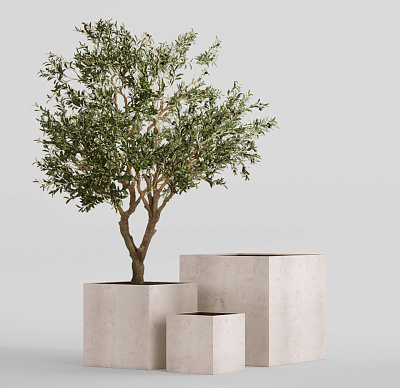 Кашпо CONCRETIKA CUBE CONCRETE WHITE 70x70x70 заказать и купить Кашпо CONCRETIKA CUBE CONCRETE WHITE 70x70x70 заказать и купить по цене 65 740 руб ниже рынка от производителя с доставкой.