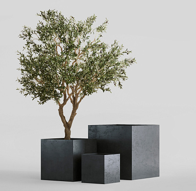 Кашпо CONCRETIKA CUBE ANTHRACITE 40x40x40 заказать и купить Кашпо CONCRETIKA CUBE ANTHRACITE 40x40x40 заказать и купить по цене 17 460 руб ниже рынка от производителя с доставкой.