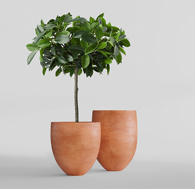 Кашпо CONCRETIKA BARREL RED CLAY D44H48 заказать и купить Кашпо CONCRETIKA BARREL RED CLAY D44H48 заказать и купить по цене 17 540 руб ниже рынка от производителя с доставкой.