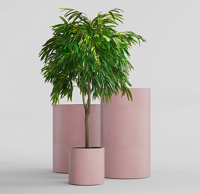 Кашпо CONCRETIKA CYLINDER COCOA D45H80 заказать и купить по цене 28 830 руб ниже рынка от производителя с доставкой.