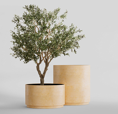 Кашпо CONCRETIKA CYLINDER XL LEMON D100H105 заказать и купить Кашпо CONCRETIKA CYLINDER XL LEMON D100H105 заказать и купить по цене 101 490 руб ниже рынка от производителя с доставкой.