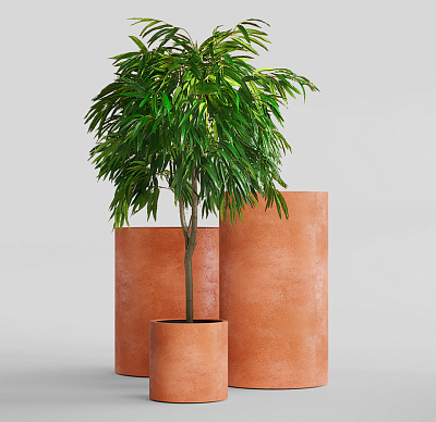 Кашпо CONCRETIKA CYLINDER RED CLAY D30H30 заказать и купить Кашпо CONCRETIKA CYLINDER RED CLAY D30H30 заказать и купить по цене 10 020 руб ниже рынка от производителя с доставкой.