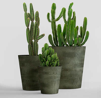 Кашпо CONCRETIKA CRATER CAYMAN GREEN D20H16 заказать и купить Кашпо CONCRETIKA CRATER CAYMAN GREEN D20H16 заказать и купить по цене 5 610 руб ниже рынка от производителя с доставкой.