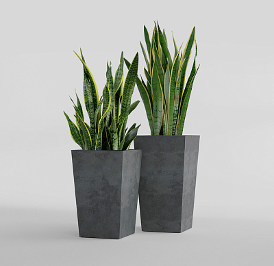 Кашпо CONCRETIKA CONIC SMOKEY BLUE 30x30x50 заказать и купить Кашпо CONCRETIKA CONIC SMOKEY BLUE 30x30x50 заказать и купить по цене 15 970 руб ниже рынка от производителя с доставкой.