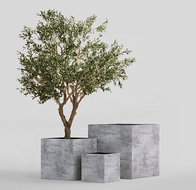 Кашпо CONCRETIKA CUBE CONCRETE GREY LIGHT 50x50x50 заказать и купить Кашпо CONCRETIKA CUBE CONCRETE GREY LIGHT 50x50x50 заказать и купить по цене 27 050 руб ниже рынка от производителя с доставкой.