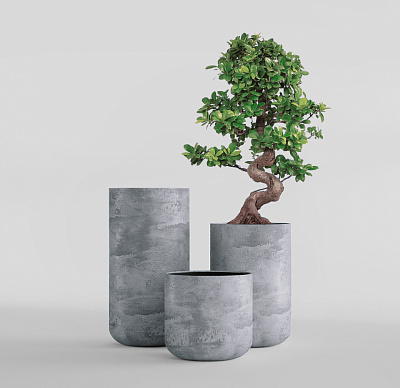 Кашпо CONCRETIKA TOPPER CONCRETE GREY LIGHT D40H90 заказать и купить Кашпо CONCRETIKA TOPPER CONCRETE GREY LIGHT D40H90 заказать и купить по цене 31 930 руб ниже рынка от производителя с доставкой.