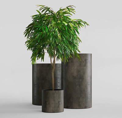 Кашпо CONCRETIKA CYLINDER BREZENT GREY D40H80 заказать и купить Кашпо CONCRETIKA CYLINDER BREZENT GREY D40H80 заказать и купить по цене 27 550 руб ниже рынка от производителя с доставкой.