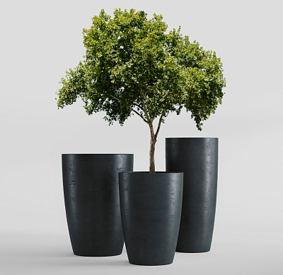 Кашпо CONCRETIKA CONUS ANTHRACITE D48H60 заказать и купить Кашпо CONCRETIKA CONUS ANTHRACITE D48H60 заказать и купить по цене 25 280 руб ниже рынка от производителя с доставкой.