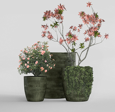 Кашпо CONCRETIKA VASE 3 CAYMAN GREEN D90H95 заказать и купить Кашпо CONCRETIKA VASE 3 CAYMAN GREEN D90H95 заказать и купить по цене 89 520 руб ниже рынка от производителя с доставкой.