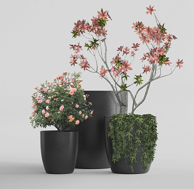 Кашпо CONCRETIKA VASE 3 NERO D75H82 заказать и купить Кашпо CONCRETIKA VASE 3 NERO D75H82 заказать и купить по цене 50 560 руб ниже рынка от производителя с доставкой.