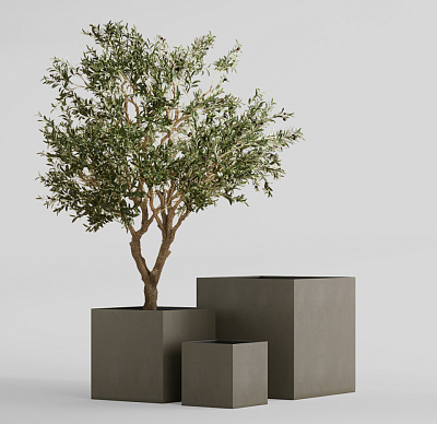 Кашпо CONCRETIKA CUBE OLIVE 90x90x90 заказать и купить Кашпо CONCRETIKA CUBE OLIVE 90x90x90 заказать и купить по цене 90 920 руб ниже рынка от производителя с доставкой.
