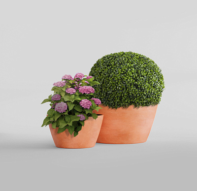 Кашпо CONCRETIKA BOWL RED CLAY D52H29 заказать и купить Кашпо CONCRETIKA BOWL RED CLAY D52H29 заказать и купить по цене 12 530 руб ниже рынка от производителя с доставкой.