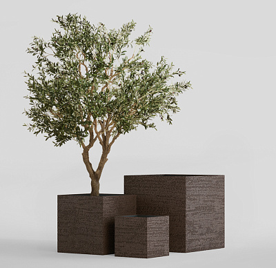 Кашпо CONCRETIKA CUBE EROSIA BROWN 80x80x80 заказать и купить Кашпо CONCRETIKA CUBE EROSIA BROWN 80x80x80 заказать и купить по цене 82 890 руб ниже рынка от производителя с доставкой.
