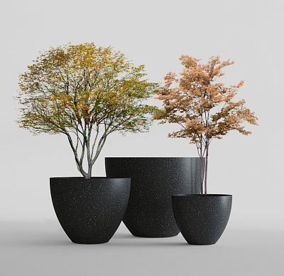 Кашпо CONCRETIKA UPON EGG BLACK D55H45 заказать и купить Кашпо CONCRETIKA UPON EGG BLACK D55H45 заказать и купить по цене 16 630 руб ниже рынка от производителя с доставкой.