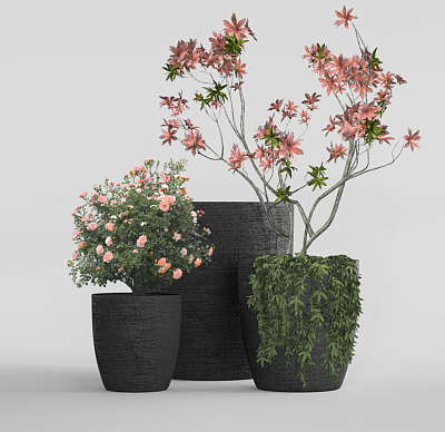 Кашпо CONCRETIKA VASE 3 EROSIA BLACK D90H95 заказать и купить Кашпо CONCRETIKA VASE 3 EROSIA BLACK D90H95 заказать и купить по цене 89 520 руб ниже рынка от производителя с доставкой.