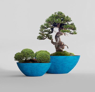 Кашпо CONCRETIKA BONSAY COBALT BLUE D79H30 заказать и купить по цене 24 670 руб ниже рынка от производителя с доставкой.