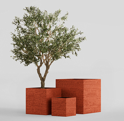 Кашпо CONCRETIKA CUBE EROSIA CORAL 90x90x90 заказать и купить Кашпо CONCRETIKA CUBE EROSIA CORAL 90x90x90 заказать и купить по цене 104 560 руб ниже рынка от производителя с доставкой.