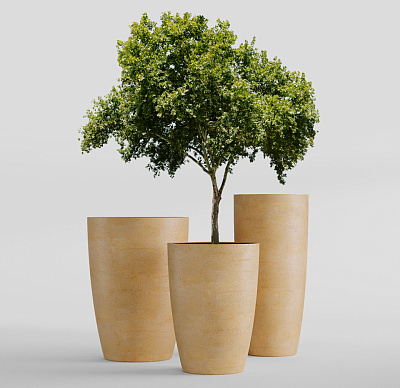 Кашпо CONCRETIKA CONUS LEMON D60H170 заказать и купить Кашпо CONCRETIKA CONUS LEMON D60H170 заказать и купить по цене 150 300 руб ниже рынка от производителя с доставкой.