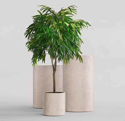 Кашпо CONCRETIKA CYLINDER CONCRETE WHITE D25H25 заказать и купить Кашпо CONCRETIKA CYLINDER CONCRETE WHITE D25H25 заказать и купить по цене 6 650 руб ниже рынка от производителя с доставкой.
