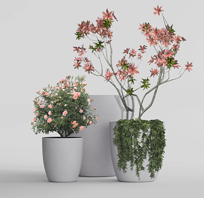 Кашпо CONCRETIKA VASE 3 SHALE D90H95 заказать и купить Кашпо CONCRETIKA VASE 3 SHALE D90H95 заказать и купить по цене 77 840 руб ниже рынка от производителя с доставкой.
