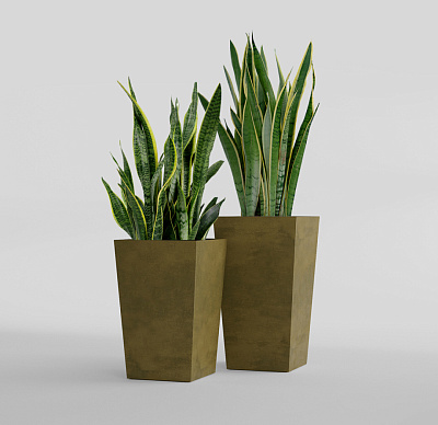 Кашпо CONCRETIKA CONIC AVOCADO 30x30x50 заказать и купить Кашпо CONCRETIKA CONIC AVOCADO 30x30x50 заказать и купить по цене 15 040 руб ниже рынка от производителя с доставкой.