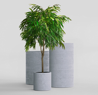 Кашпо CONCRETIKA CYLINDER EROSIA WHITE D30H60 заказать и купить Кашпо CONCRETIKA CYLINDER EROSIA WHITE D30H60 заказать и купить по цене 16 330 руб ниже рынка от производителя с доставкой.