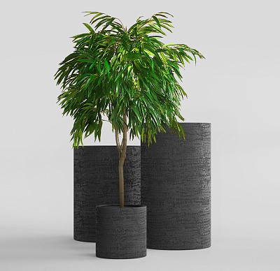 Кашпо CONCRETIKA CYLINDER EROSIA BLACK D30H30 заказать и купить Кашпо CONCRETIKA CYLINDER EROSIA BLACK D30H30 заказать и купить по цене 10 200 руб ниже рынка от производителя с доставкой.