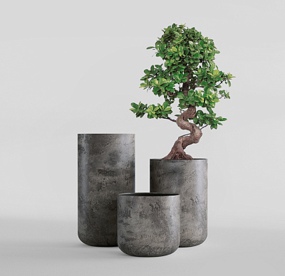 Кашпо CONCRETIKA TOPPER CONCRETE GREY DARK D40H90 заказать и купить Кашпо CONCRETIKA TOPPER CONCRETE GREY DARK D40H90 заказать и купить по цене 31 930 руб ниже рынка от производителя с доставкой.