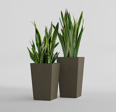 Кашпо CONCRETIKA CONIC OLIVE 30x30x50 заказать и купить Кашпо CONCRETIKA CONIC OLIVE 30x30x50 заказать и купить по цене 13 310 руб ниже рынка от производителя с доставкой.