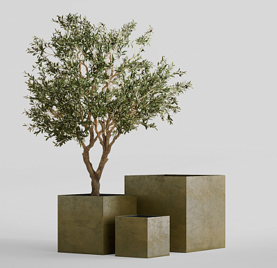 Кашпо CONCRETIKA CUBE AVOCADO 100x100x100 заказать и купить Кашпо CONCRETIKA CUBE AVOCADO 100x100x100 заказать и купить по цене 127 800 руб ниже рынка от производителя с доставкой.