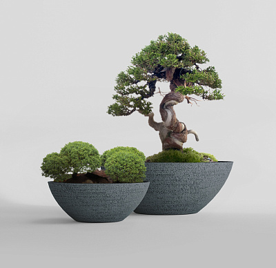 Кашпо CONCRETIKA BONSAY EROSIA GREY D50H19 заказать и купить Кашпо CONCRETIKA BONSAY EROSIA GREY D50H19 заказать и купить по цене 13 400 руб ниже рынка от производителя с доставкой.
