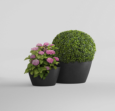 Кашпо CONCRETIKA BOWL NERO D65H36 заказать и купить по цене 16 630 руб ниже рынка от производителя с доставкой.