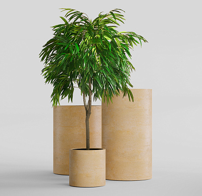 Кашпо CONCRETIKA CYLINDER LEMON D45H80 заказать и купить по цене 32 570 руб ниже рынка от производителя с доставкой.