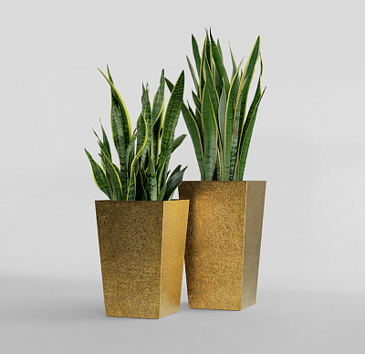 Кашпо CONCRETIKA CONIC RICH GOLD 30x30x50 заказать и купить Кашпо CONCRETIKA CONIC RICH GOLD 30x30x50 заказать и купить по цене 15 300 руб ниже рынка от производителя с доставкой.