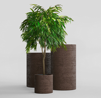 Кашпо CONCRETIKA CYLINDER EROSIA BROWN D30H90 заказать и купить Кашпо CONCRETIKA CYLINDER EROSIA BROWN D30H90 заказать и купить по цене 28 820 руб ниже рынка от производителя с доставкой.