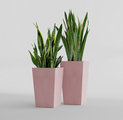 Кашпо CONCRETIKA CONIC COCOA 40x40x70 заказать и купить Кашпо CONCRETIKA CONIC COCOA 40x40x70 заказать и купить по цене 24 390 руб ниже рынка от производителя с доставкой.