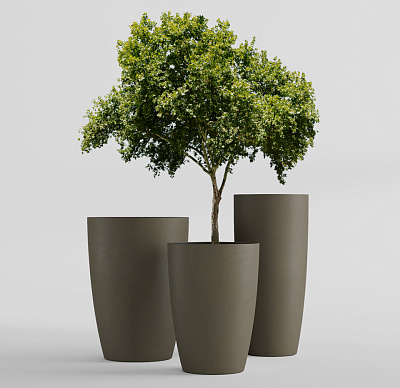 Кашпо CONCRETIKA CONUS OLIVE D60H130 заказать и купить Кашпо CONCRETIKA CONUS OLIVE D60H130 заказать и купить по цене 79 830 руб ниже рынка от производителя с доставкой.
